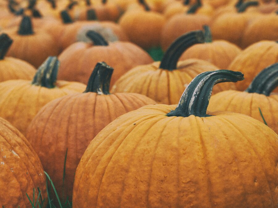 かぼちゃ色の空・・・ハロウィンの空気