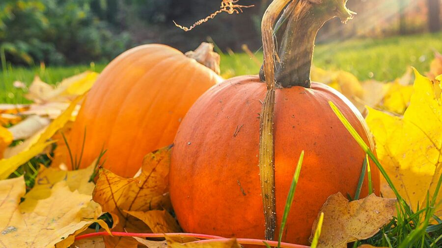 ハロウィンのあれこれとその日の続報