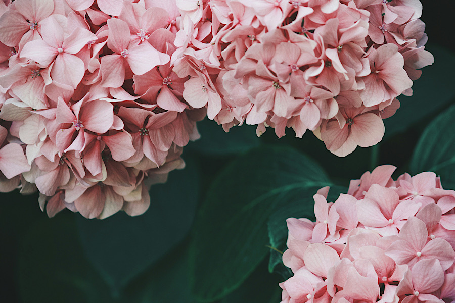 自分の役割、にまず集中しよう